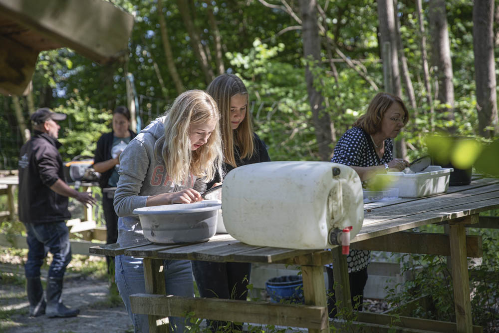 Dinosauriejakt. Havsdrakarnas hus, Bromölla.