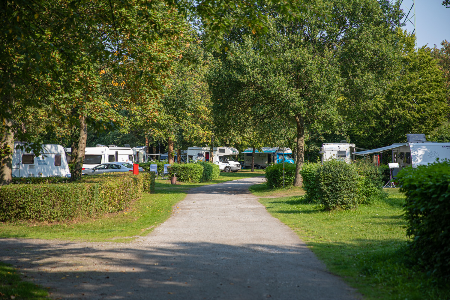 En campingplats med träd och olika campingfordon.