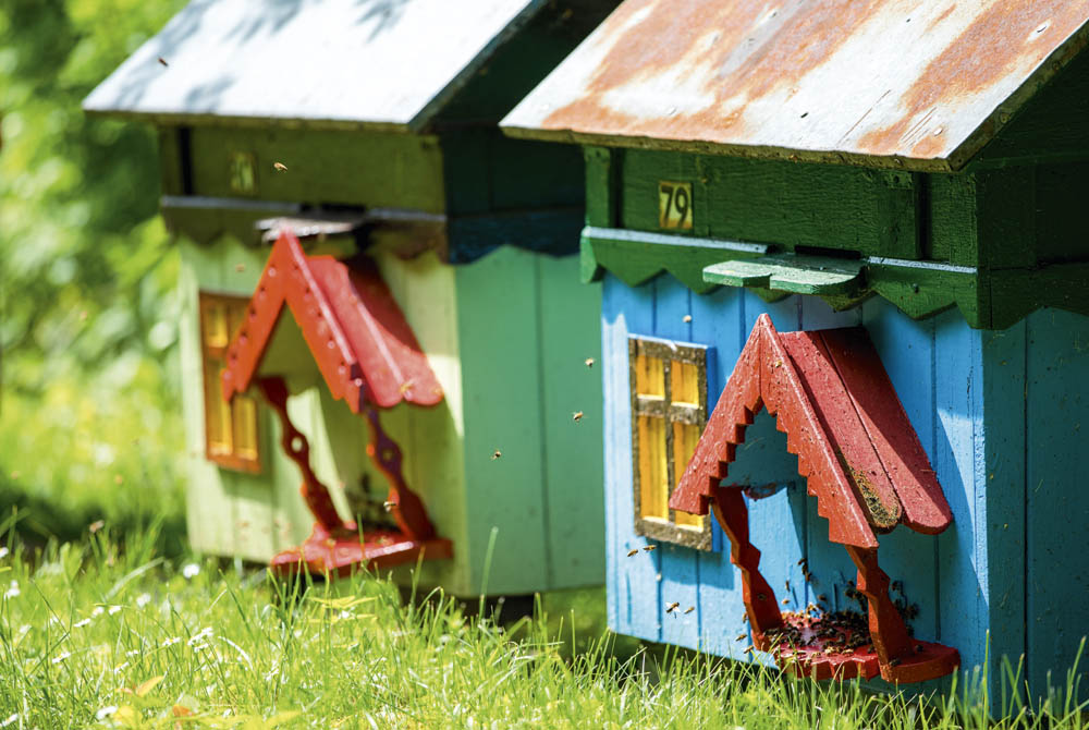 Bikuporna hos familjen Toporkiewicz