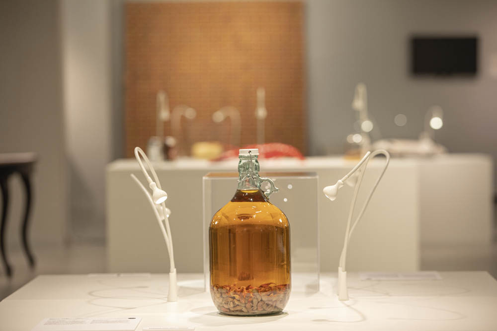 Disgusting Food Museum, Malmö.