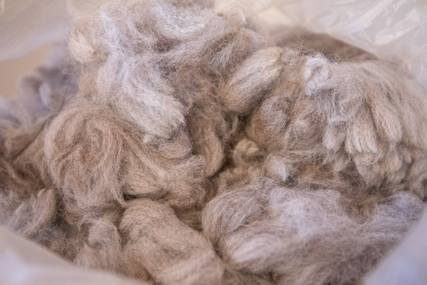 Ull från alpacka innan den blivit till garn.