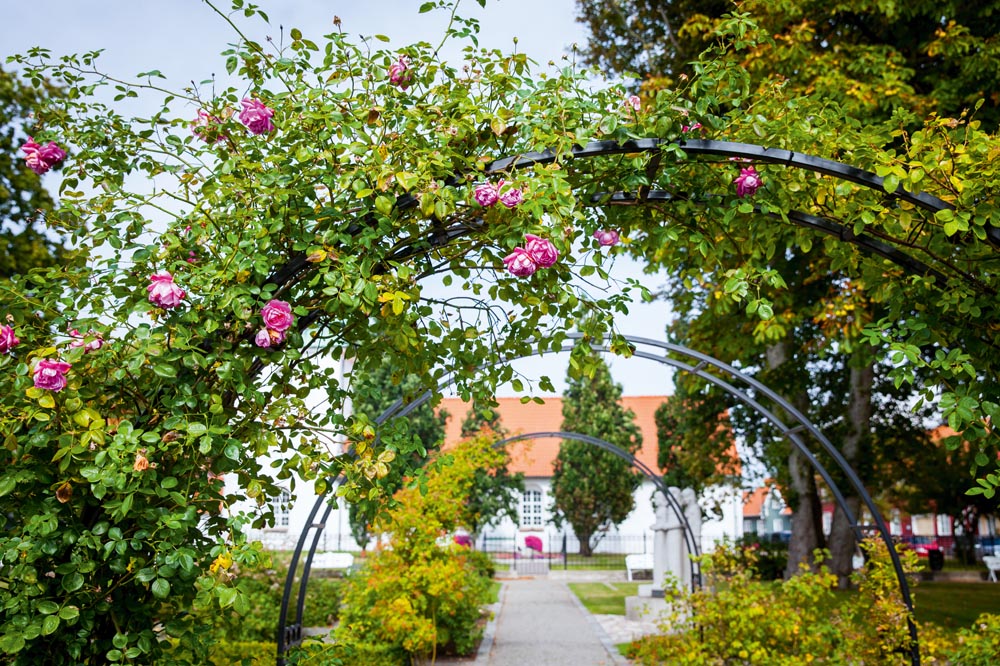 Rosariet, Falkenberg.