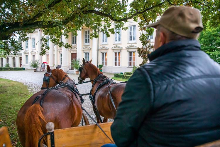 Häst och vagnturer runt slottet erbjuds för den som vill.