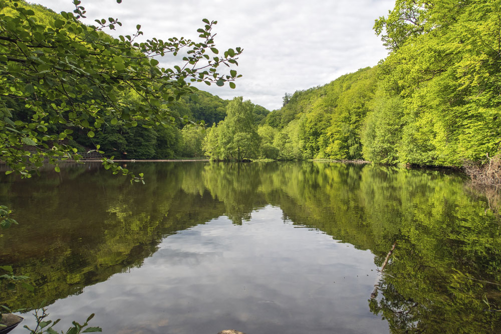 Vid vandringslederna i Skäralid finns den här vackra dammen.