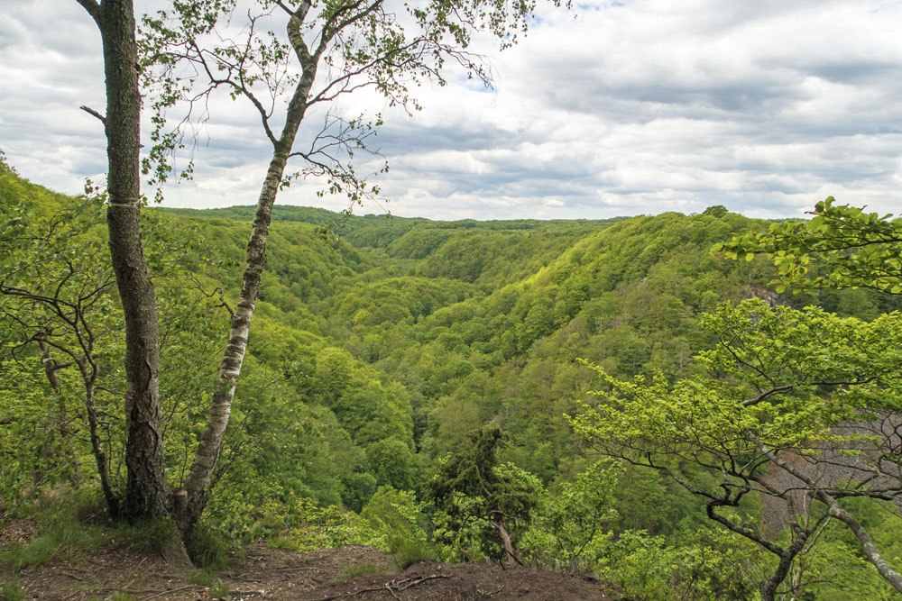 Söderåsens nationalpark.