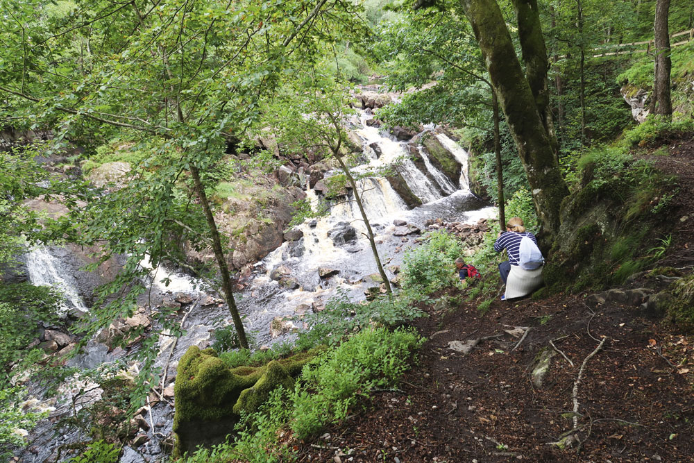 Danske Fall, Halland.