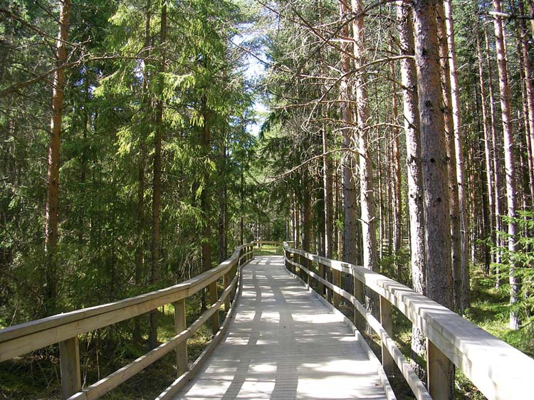 Tillgänglighetstrottoar, Järvzoo, Järvsö.