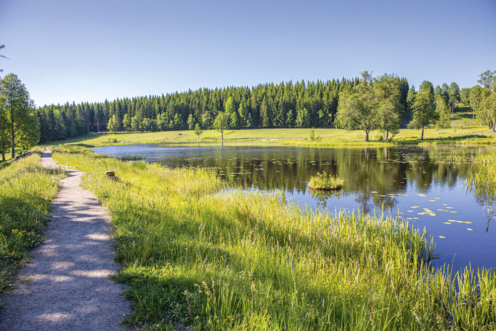 Kloster. Hedemora. Dalarna.