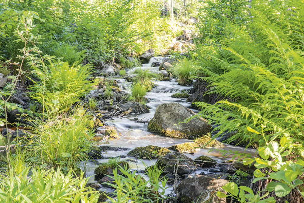 Bäck, Kloster, Hedemora, Dalarna.