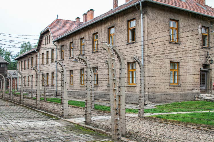 Auschwitz har en dyster men viktig historia att berätta.