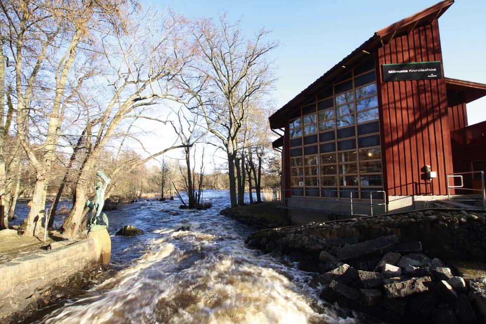 Mörrums Kronolaxfiske, Karlshamn