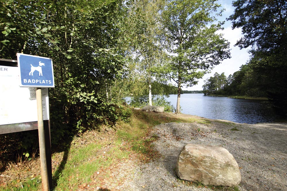 Hundbad, Olofström.