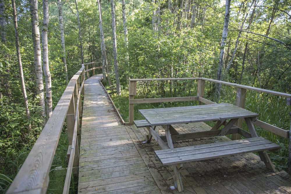 Näsumaviksleden, Bromölla.