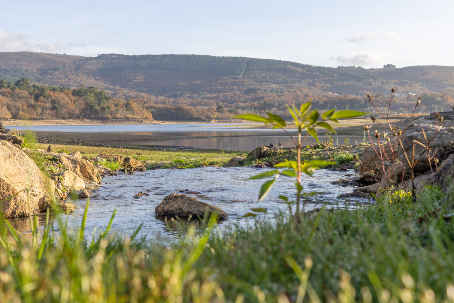 Vacker natur med berg, skog och sjö.