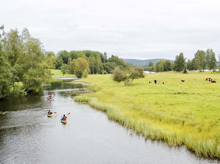 Paddling, Ljusnan.