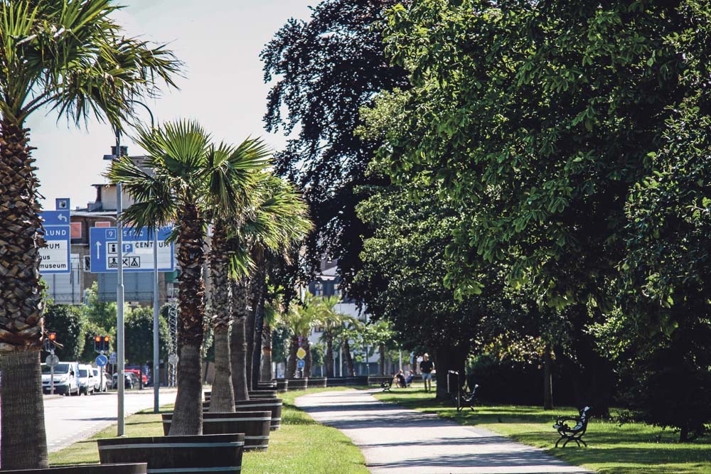 Palmer, Trelleborg. Foto: Susanne Nilsson