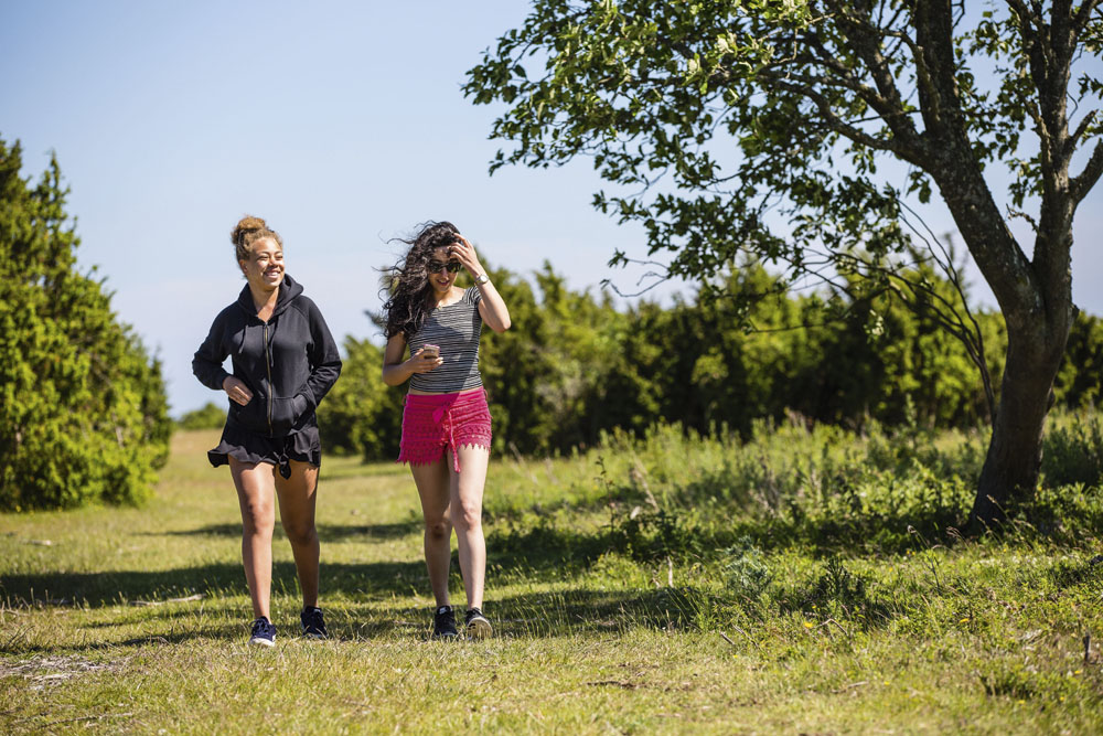 Signaturled Öland. Fotograf: Anette Andersson