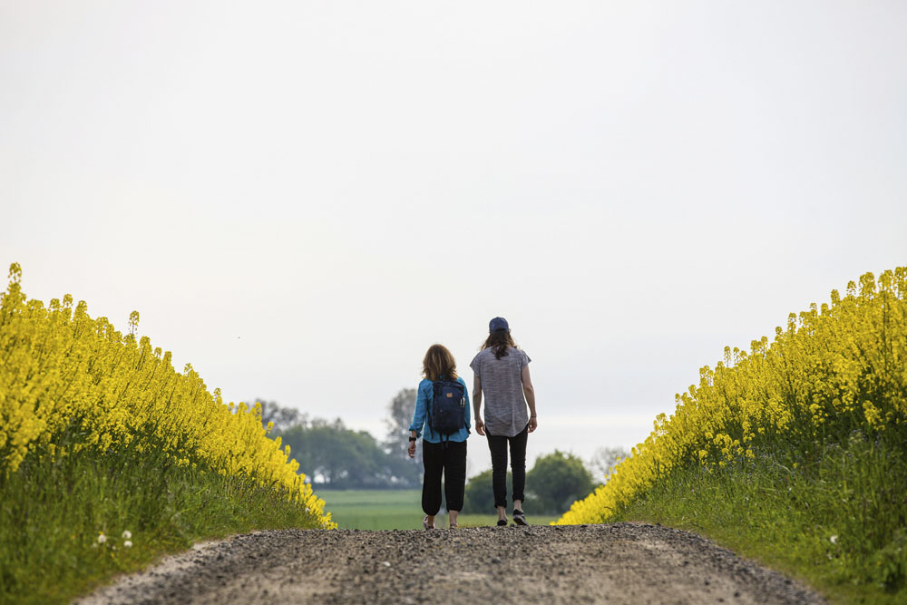 Signaturled Österlen. Fotograf: Anette Andersson