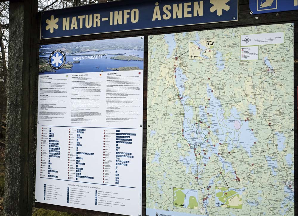 Åsnen, natur-info.