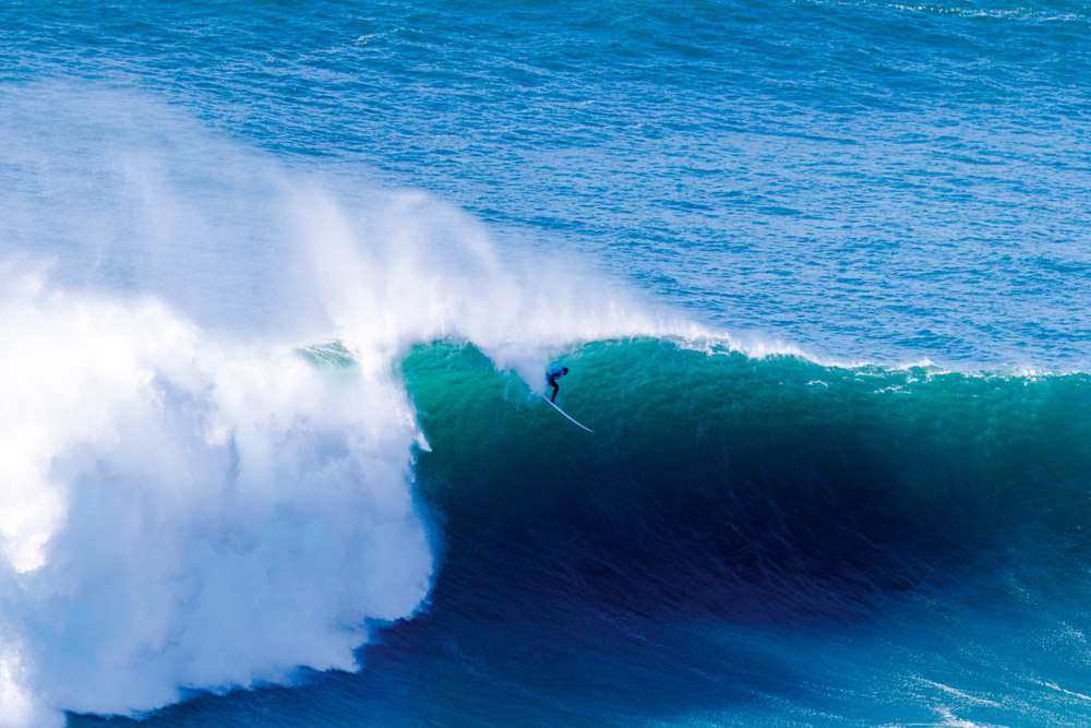 Surfare i stor våg i Nazaré, Portugal.