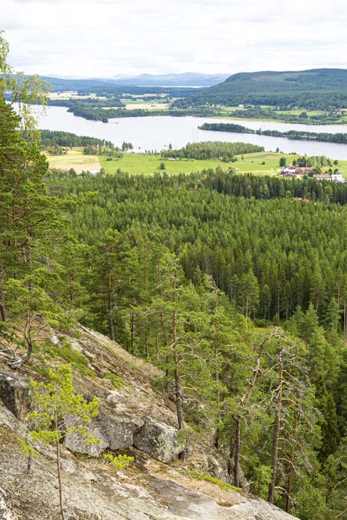 Mörkberget, Järvsö.